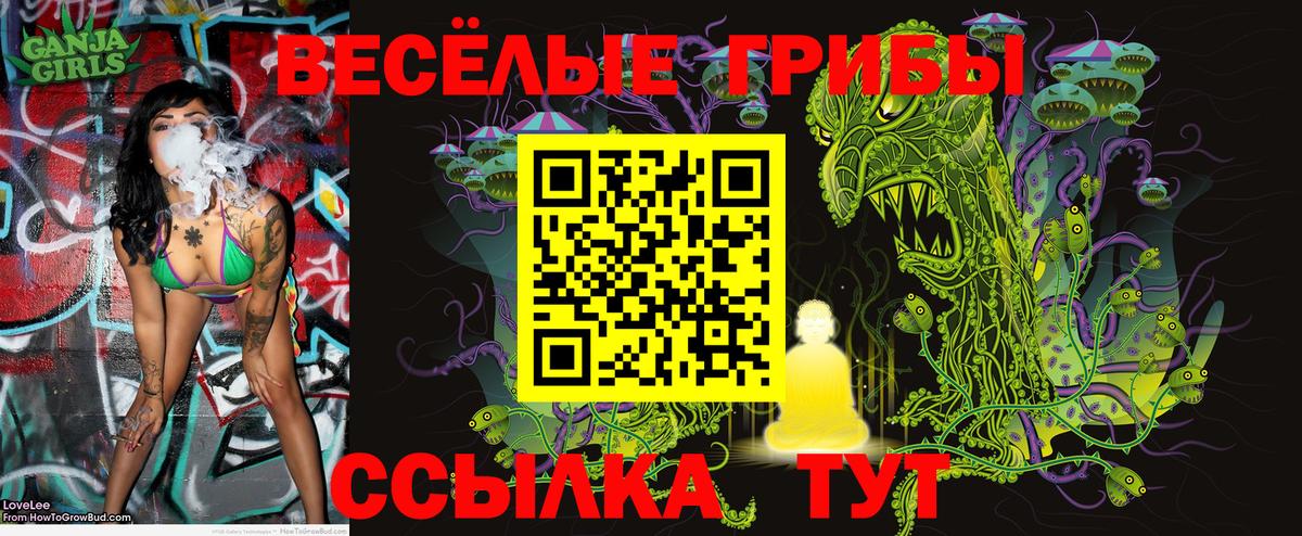 Псилоцибиновые грибы прущие грибы Новокуйбышевск