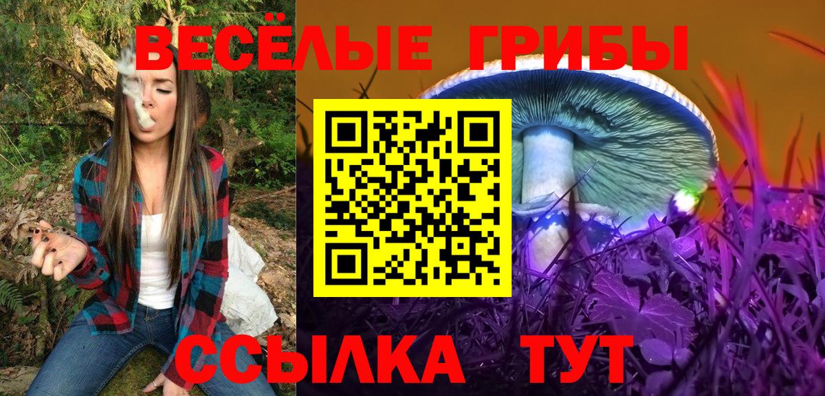 Новокуйбышевск  Псилоцибиновые грибы Magic Shrooms  Галлюциногенные грибы Magic Shrooms  Вход с VPN 